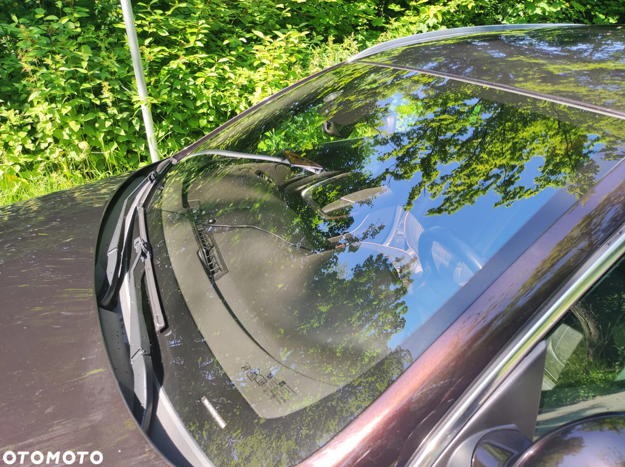 Opel Insignia 2.0 Turbo Sports Tourer 4x4 Automatik Edition - 19
