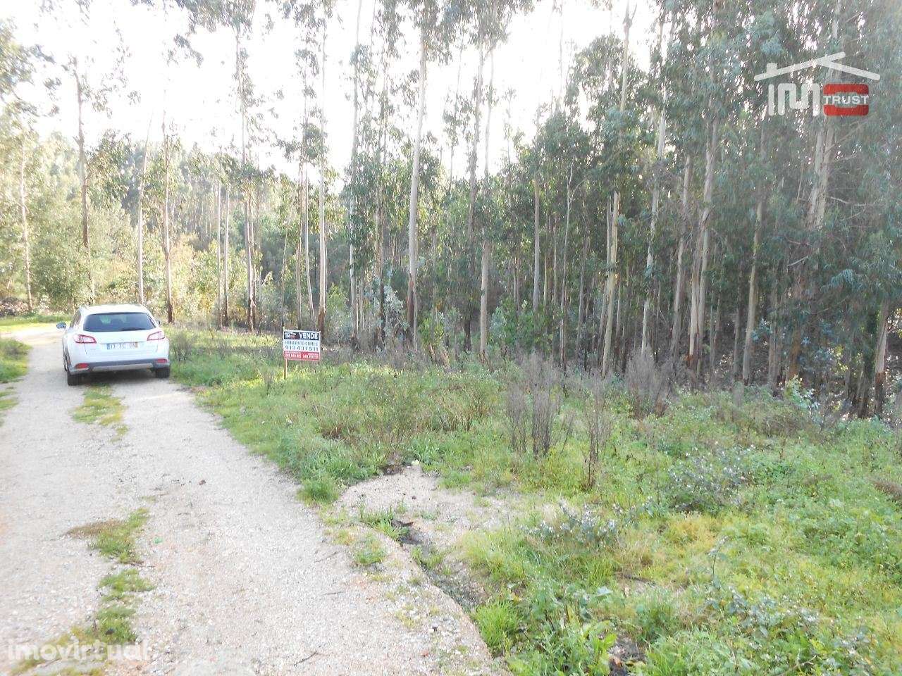 TERRENO COM AREA DE 2000 M2 PARA CONSTRUÇÃO EM CASAL DOS LOBOS SÃO ... - Grande imagem: 3/12