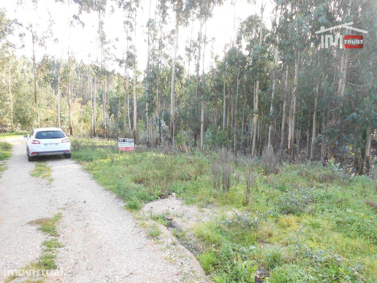 TERRENO COM AREA DE 2000 M2 PARA CONSTRUÇÃO EM CASAL DOS LOBOS SÃO ... - Grande imagem: 3/12