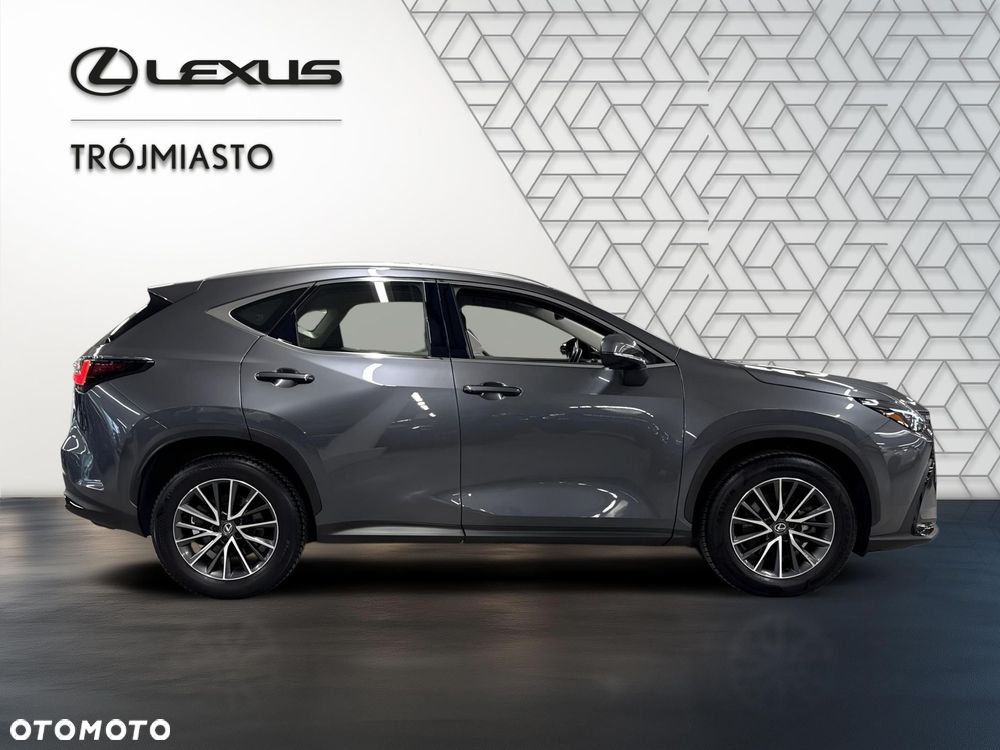 Lexus NX 350h Business AWD - 7