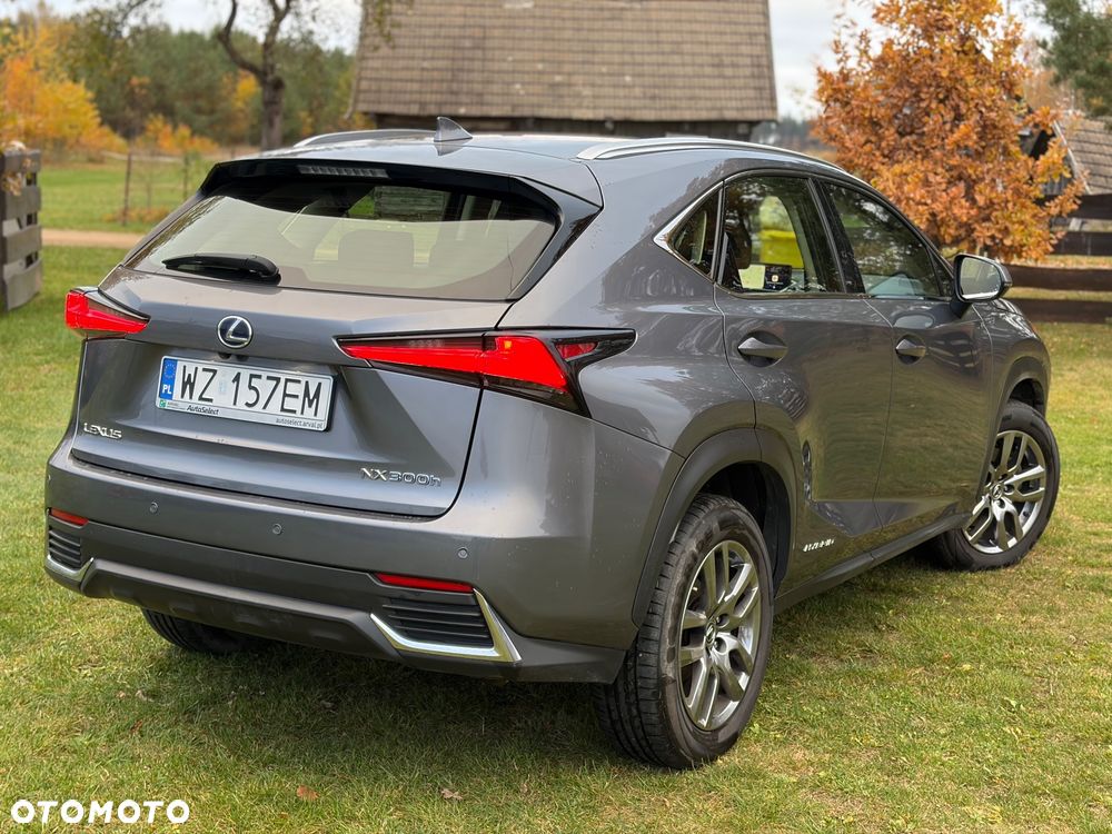 Lexus NX - 18