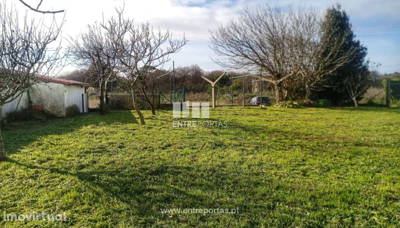 Venda de Moradia térrea V3, Areosa, Viana do Castelo. - Grande imagem: 4/31