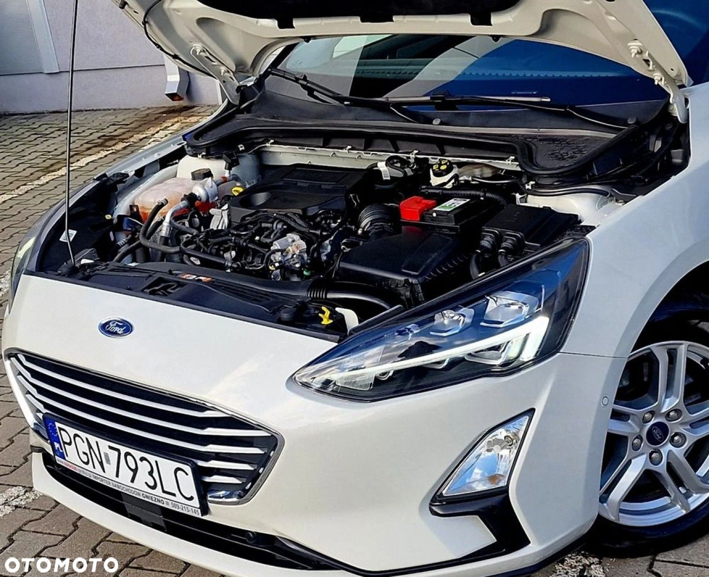 Ford Focus - 31