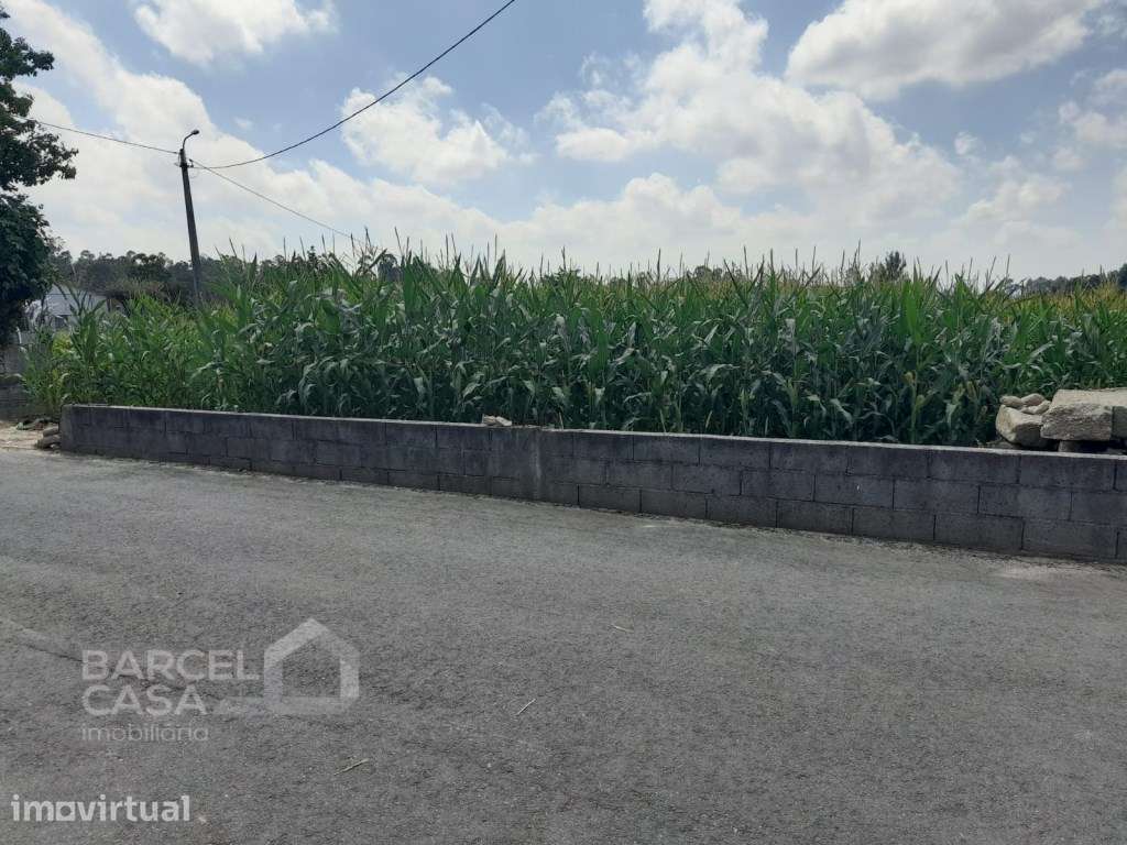 Terreno de construção em Couto - Barcelos - Grande imagem: 4/8