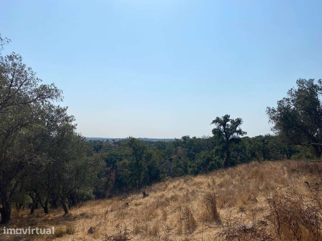 Terreno para construção com vista panorâmica em Melides - Grande imagem: 3/13
