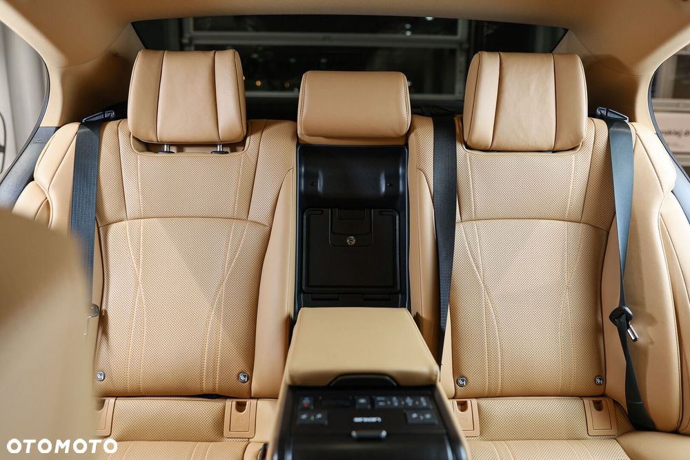 Lexus ES 300h Omotenashi - 20