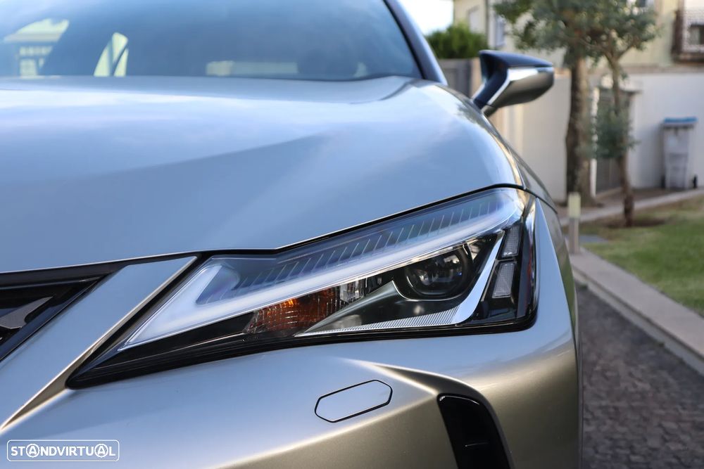 Lexus UX 300e Luxury - 6