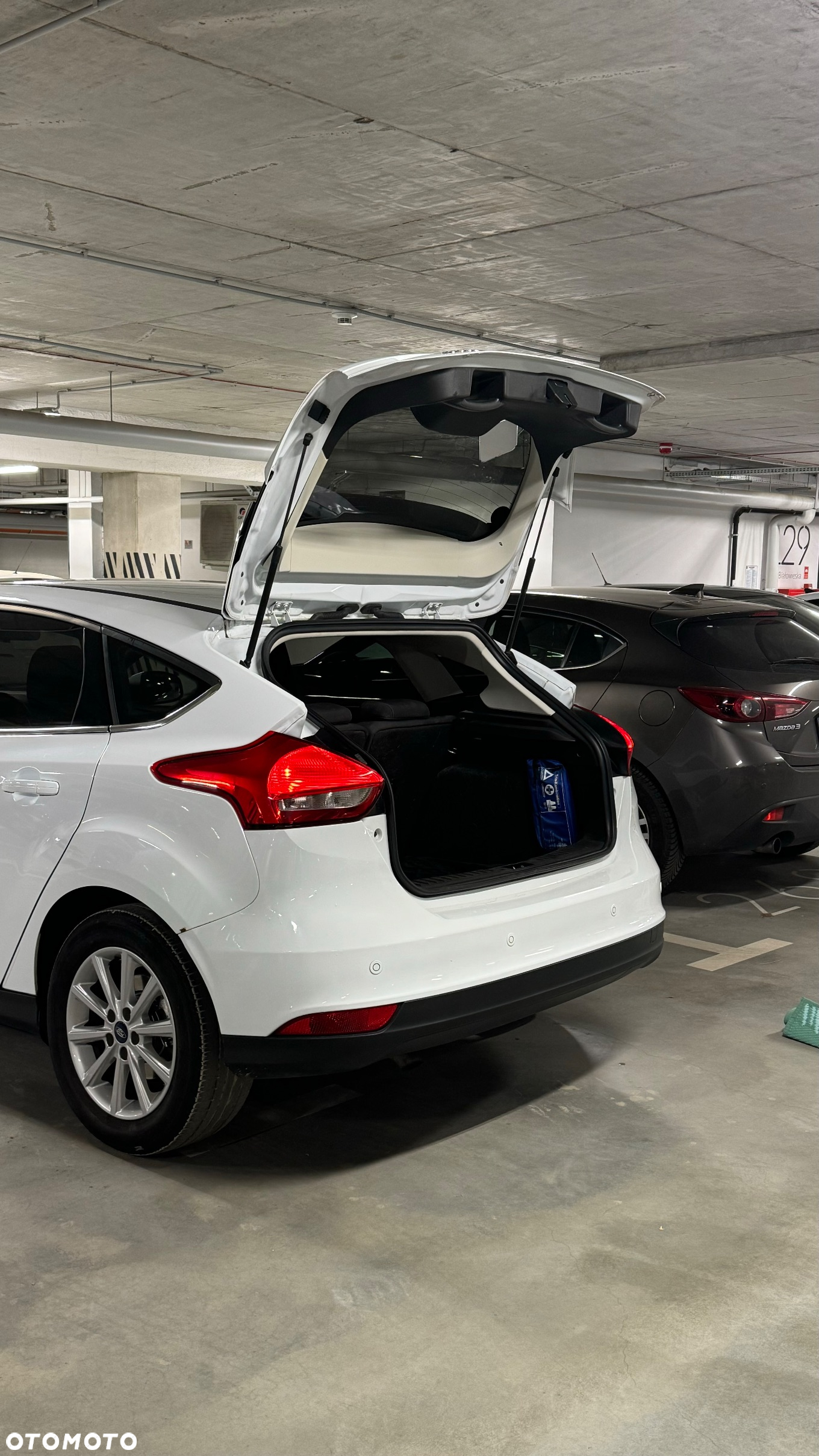 Ford Focus 1.5 EcoBlue Start-Stopp-System TITANIUM - 14