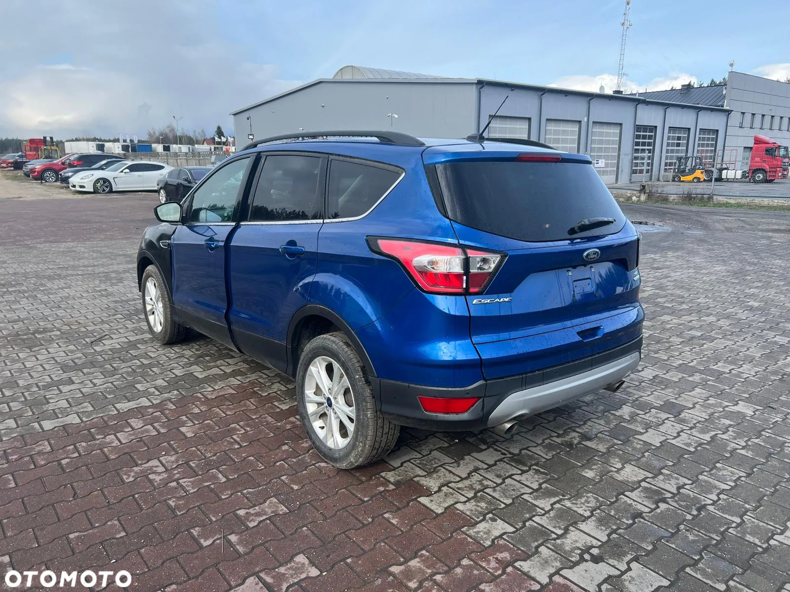 Ford Escape - 5