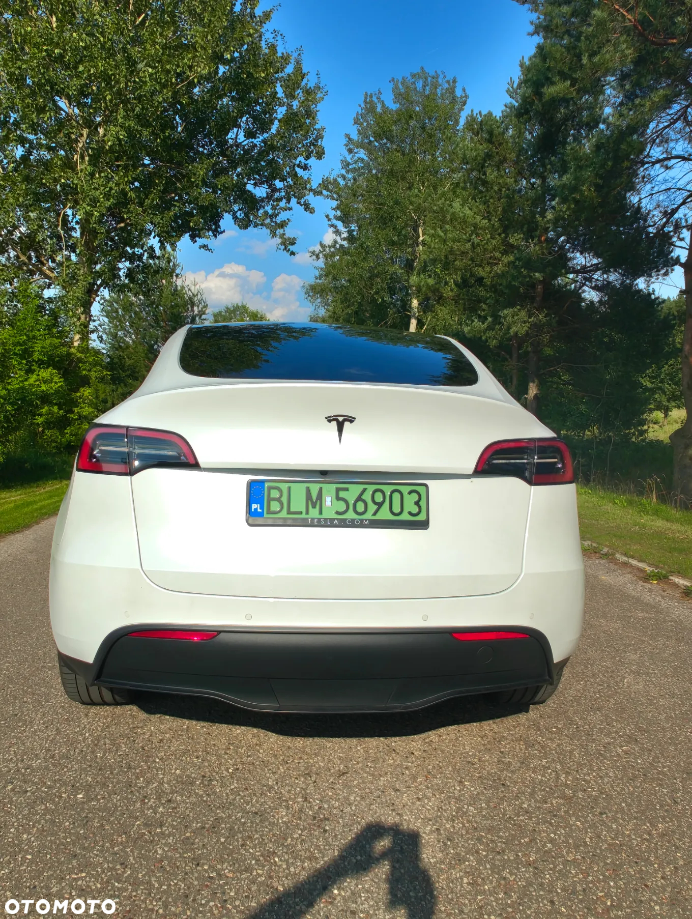 Tesla Y Model Long Range Dual Motor AWD - 28