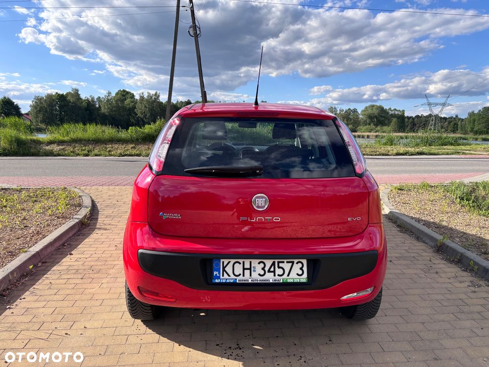 Fiat Punto - 5