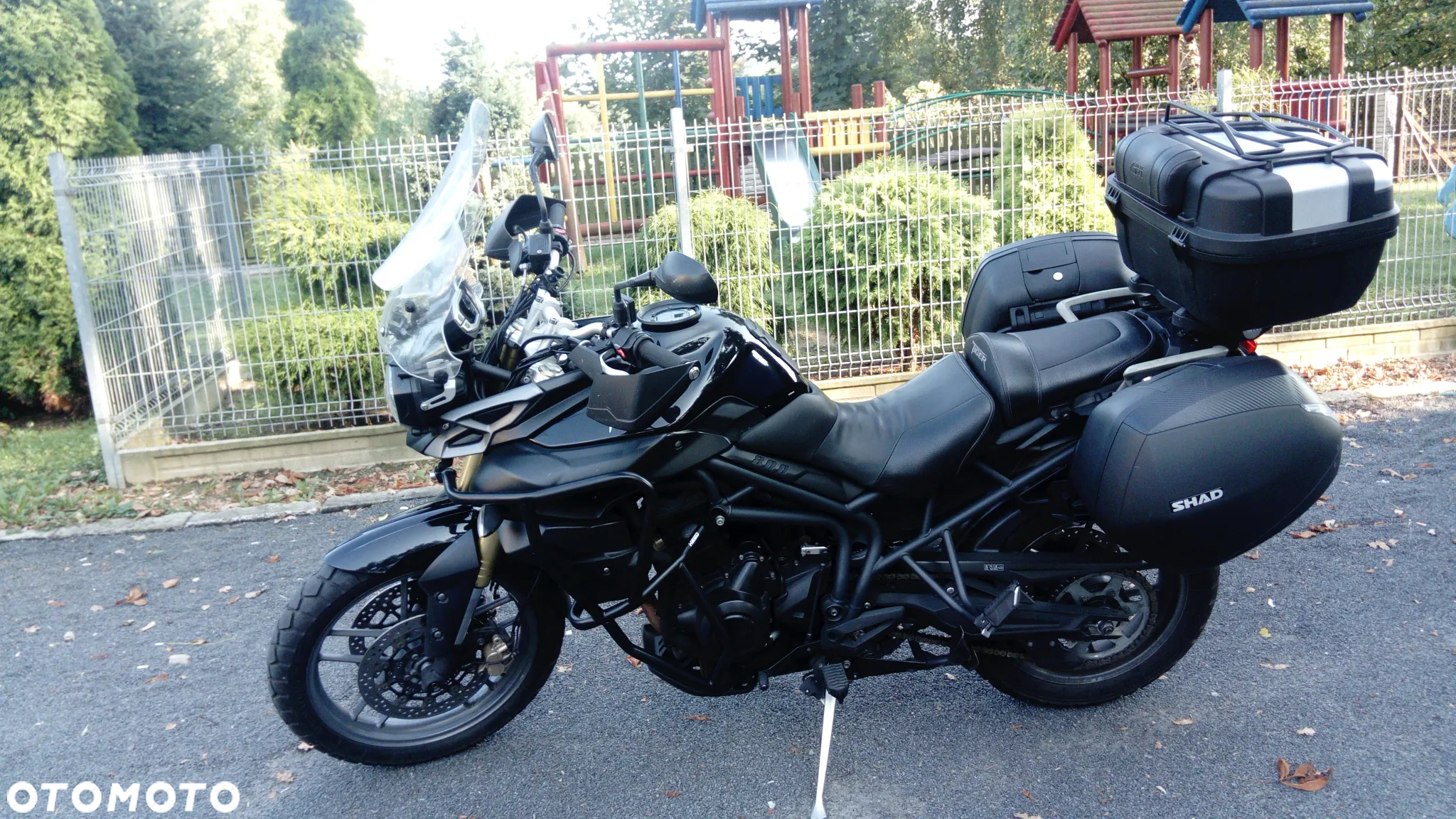 Triumph Tiger - 4