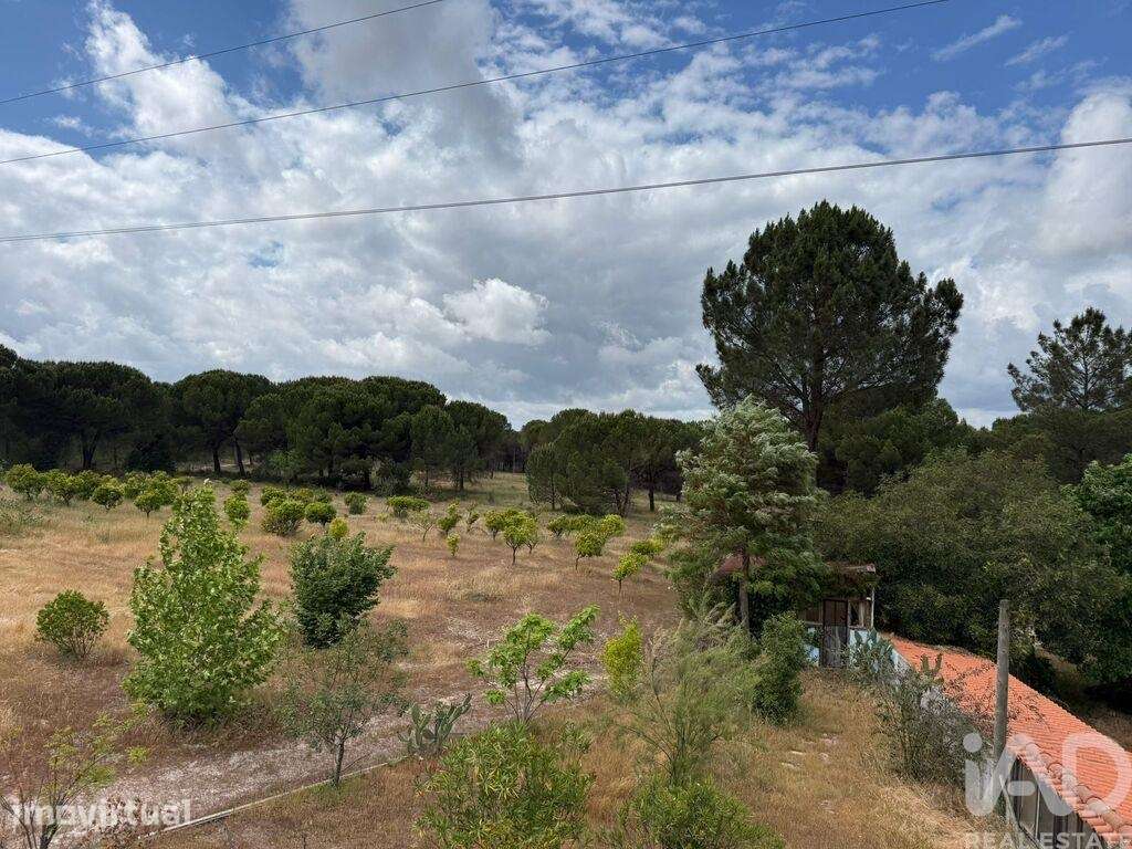 Terreno Agrícola em Pegões - Grande imagem: 3/14