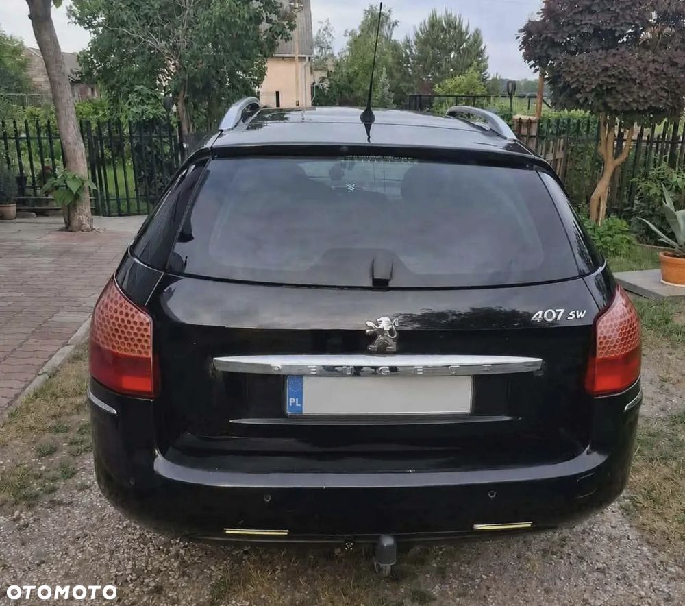 Peugeot 407 - 3