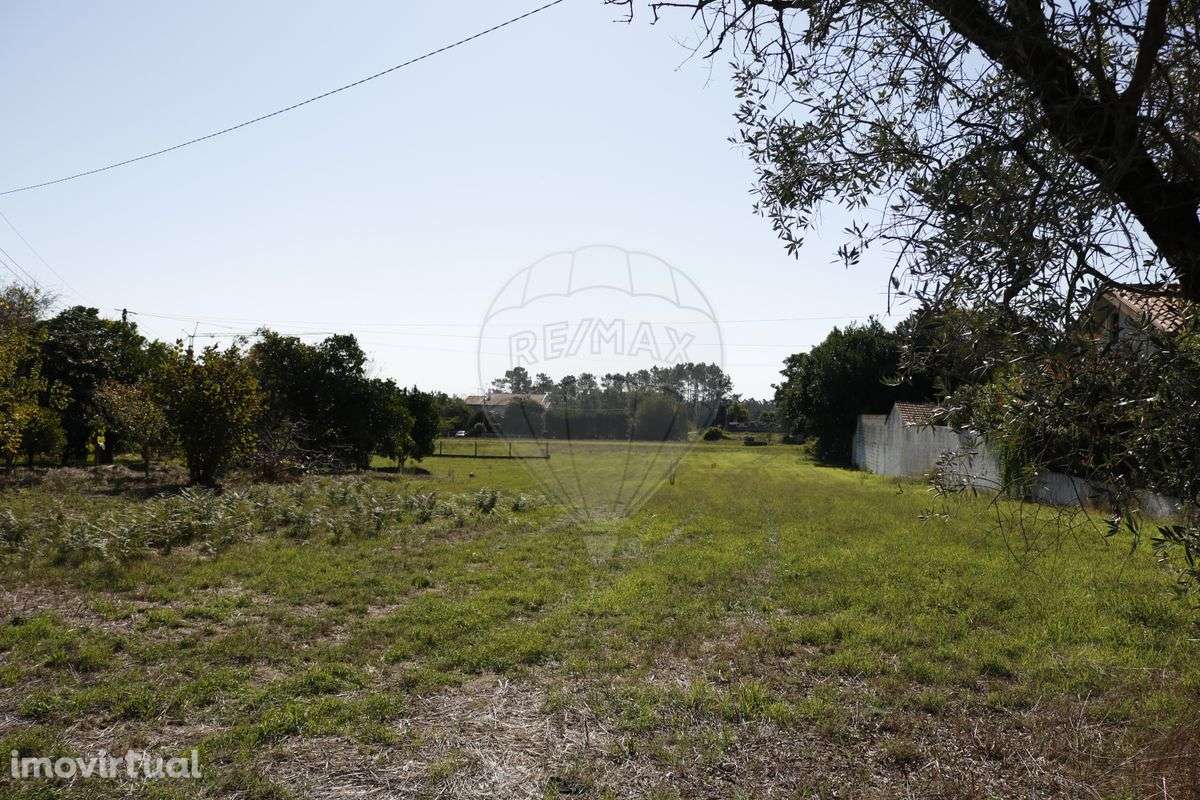 Terreno  para venda - Grande imagem: 3/5