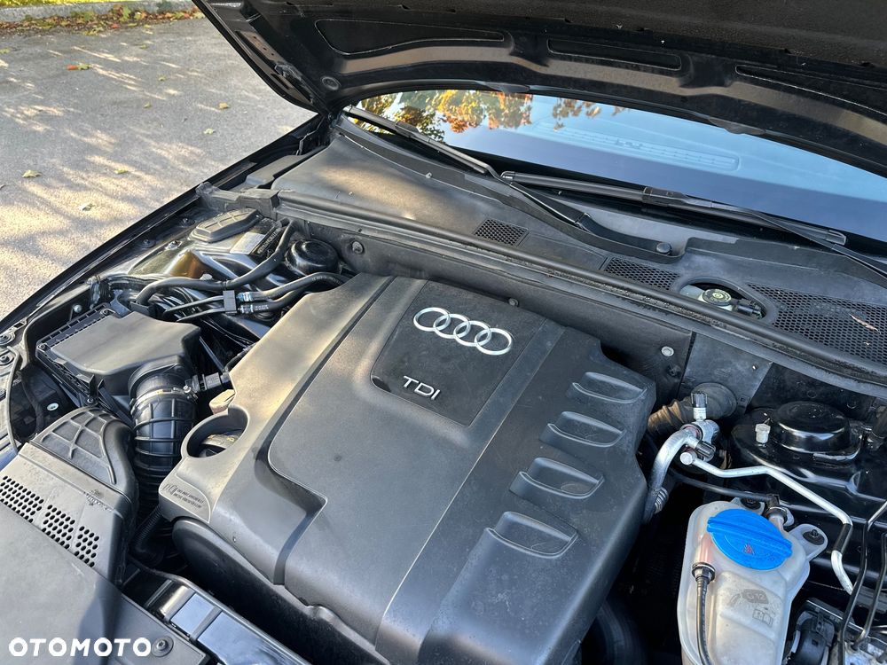 Audi A4 - 24