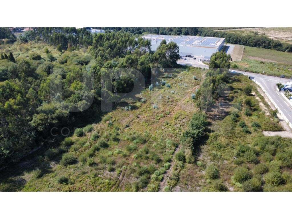 TERRENO 12.457m2 | VENDA | MAIA (Folgosa) - Grande imagem: 3/7