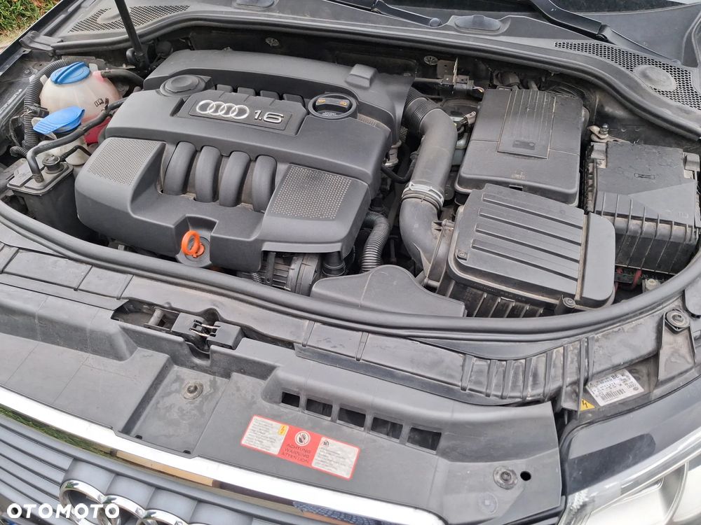 Audi A3 Sportback 1.6 Attraction - 23