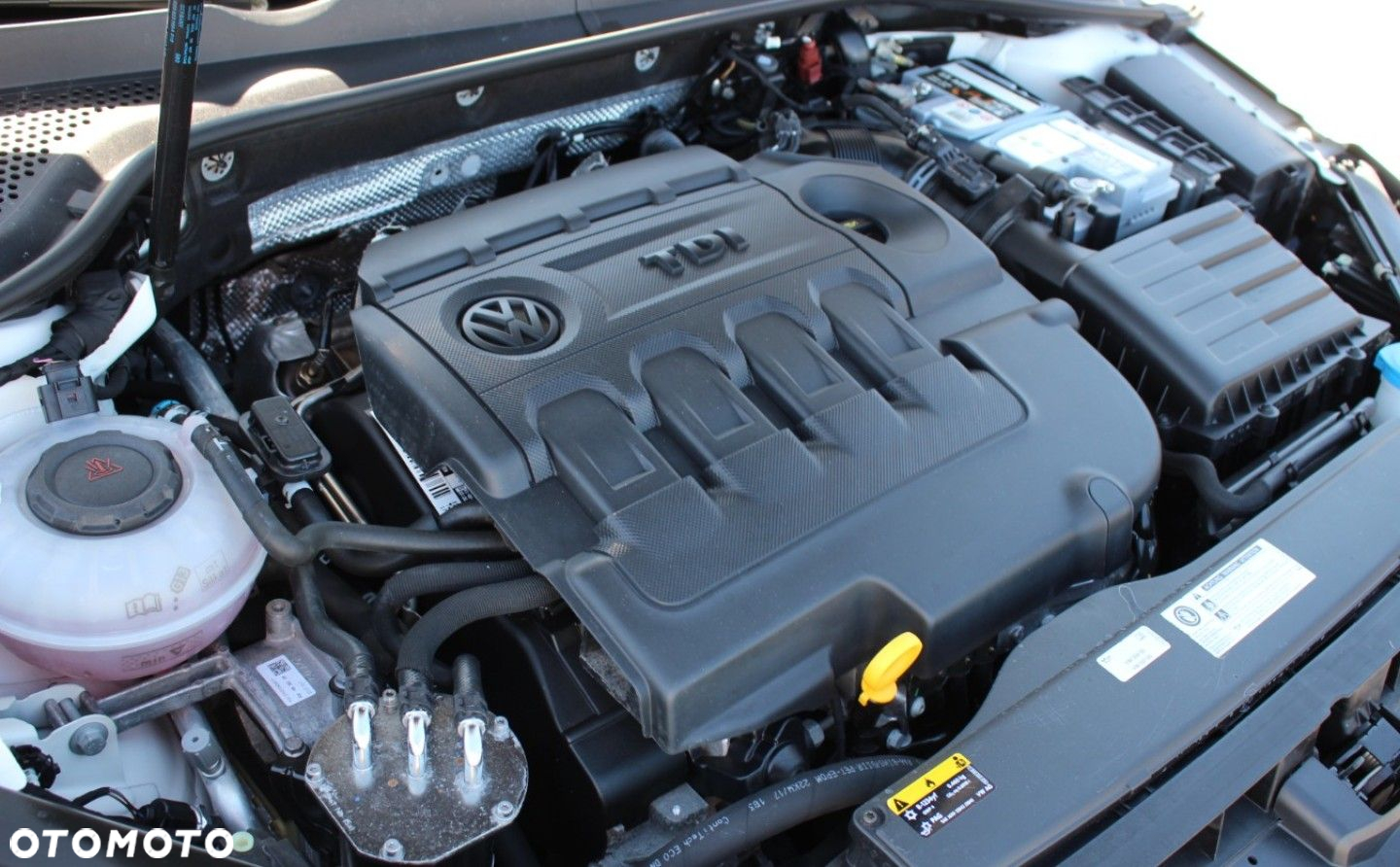 Volkswagen Golf - 21