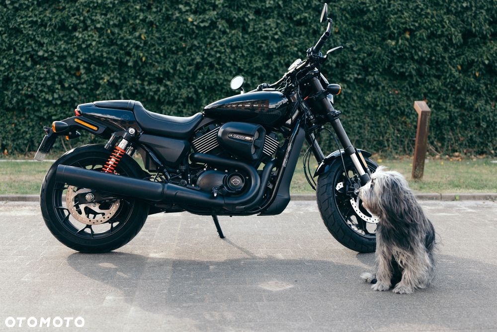 Harley-Davidson Street Rod XG 750A - 13