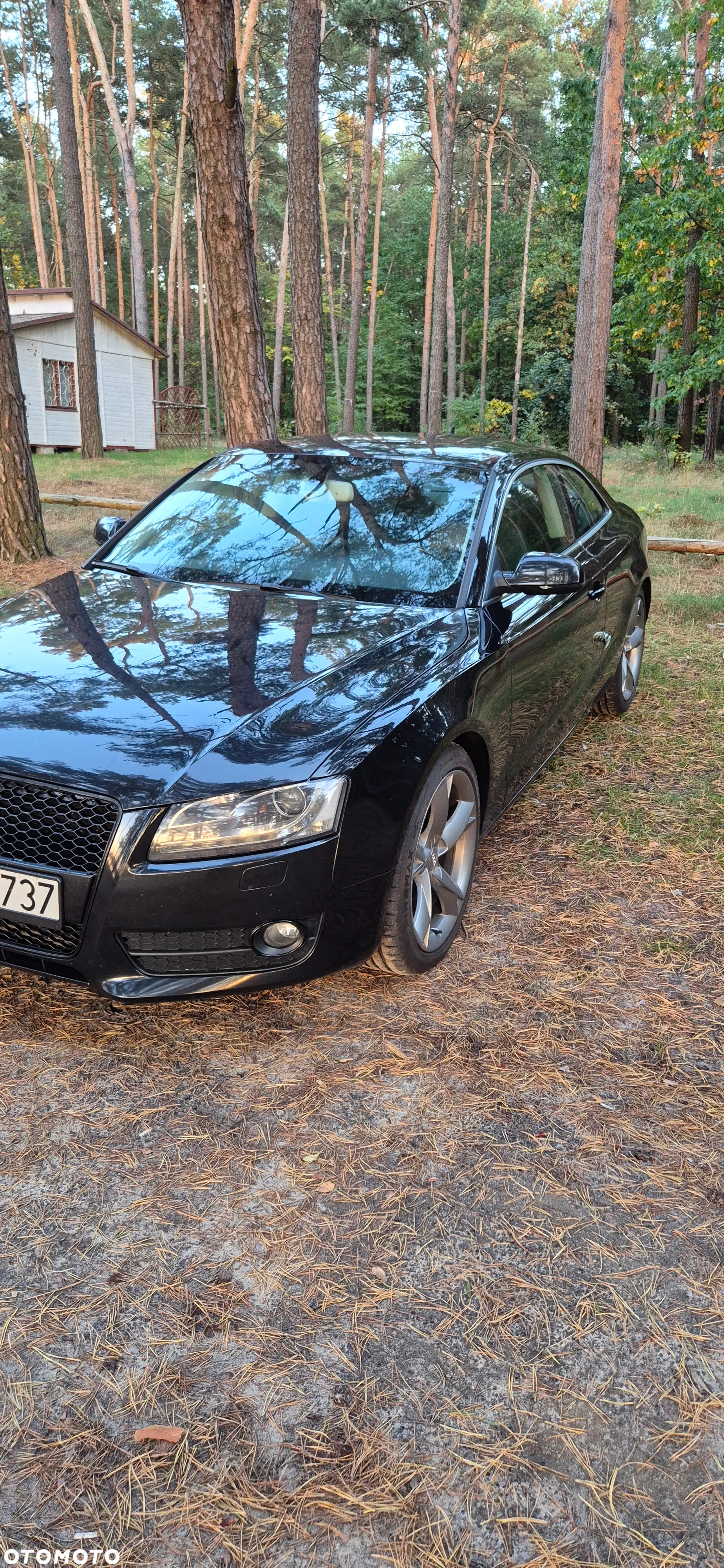Audi A5 - 8
