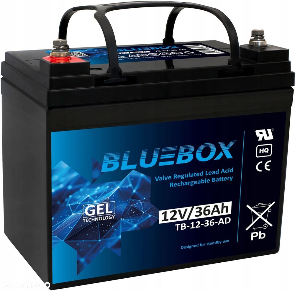 Akumulator BLUEBOX VRLA AGM 12V 36Ah 198x166x170 - 1