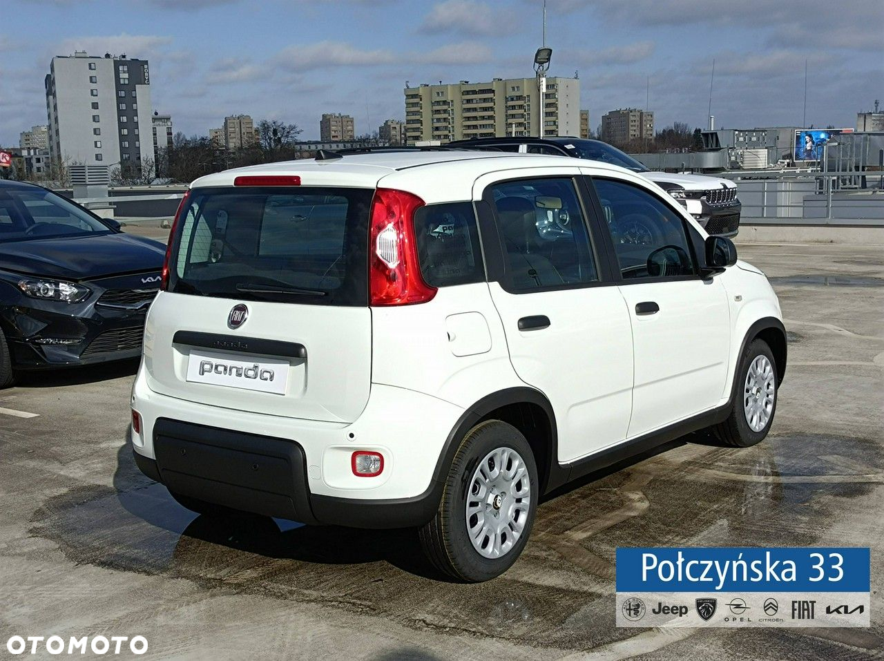Fiat Panda - 2
