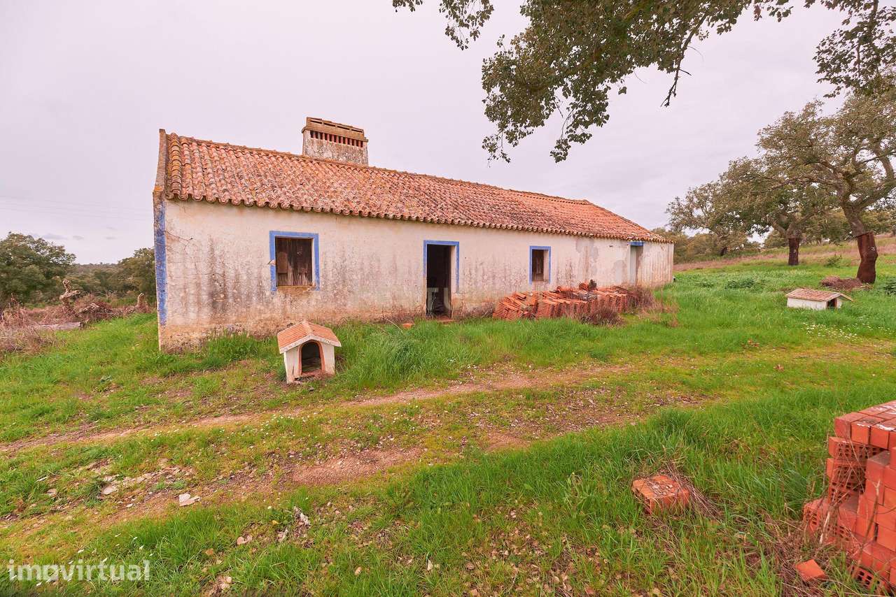 Terreno, 88 m², Abela - Grande imagem: 3/60