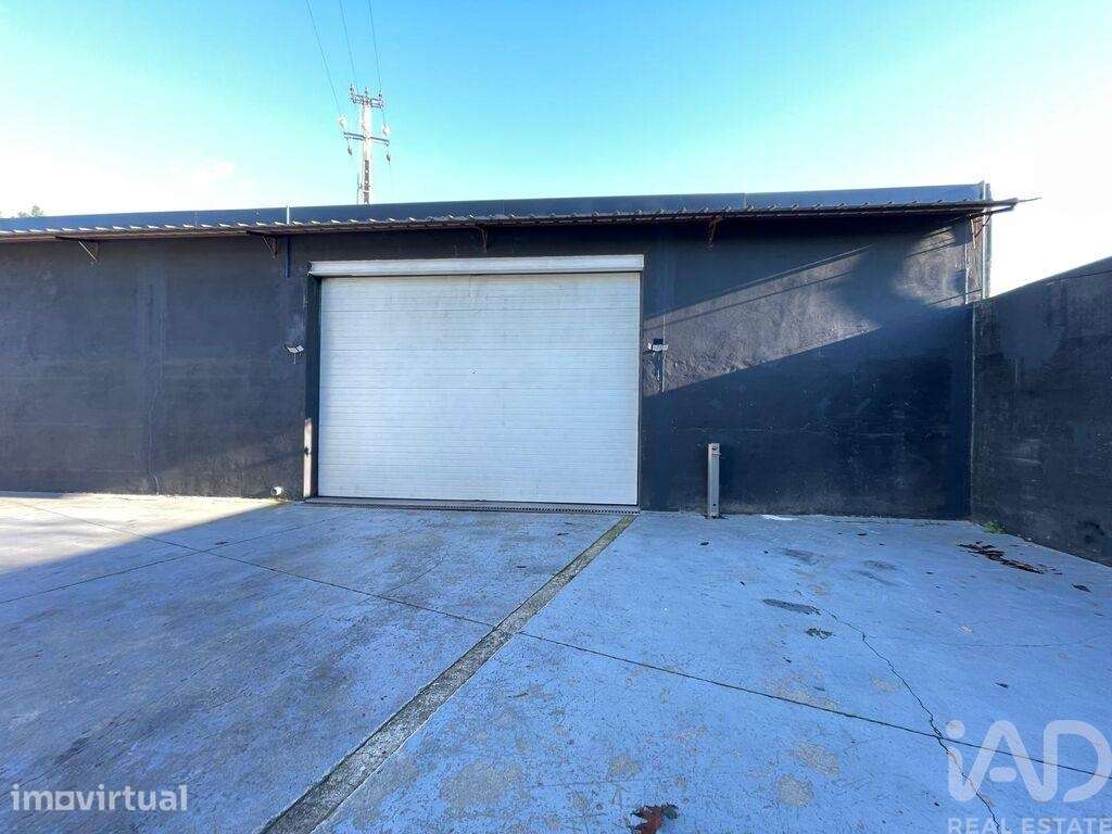 Hangar em Manhente de 705,00 m2 - Grande imagem: 5/16