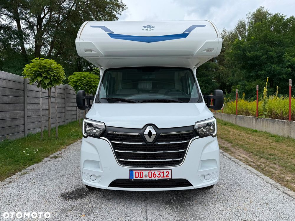 Renault Ahorn Camo 595 2024r - 14