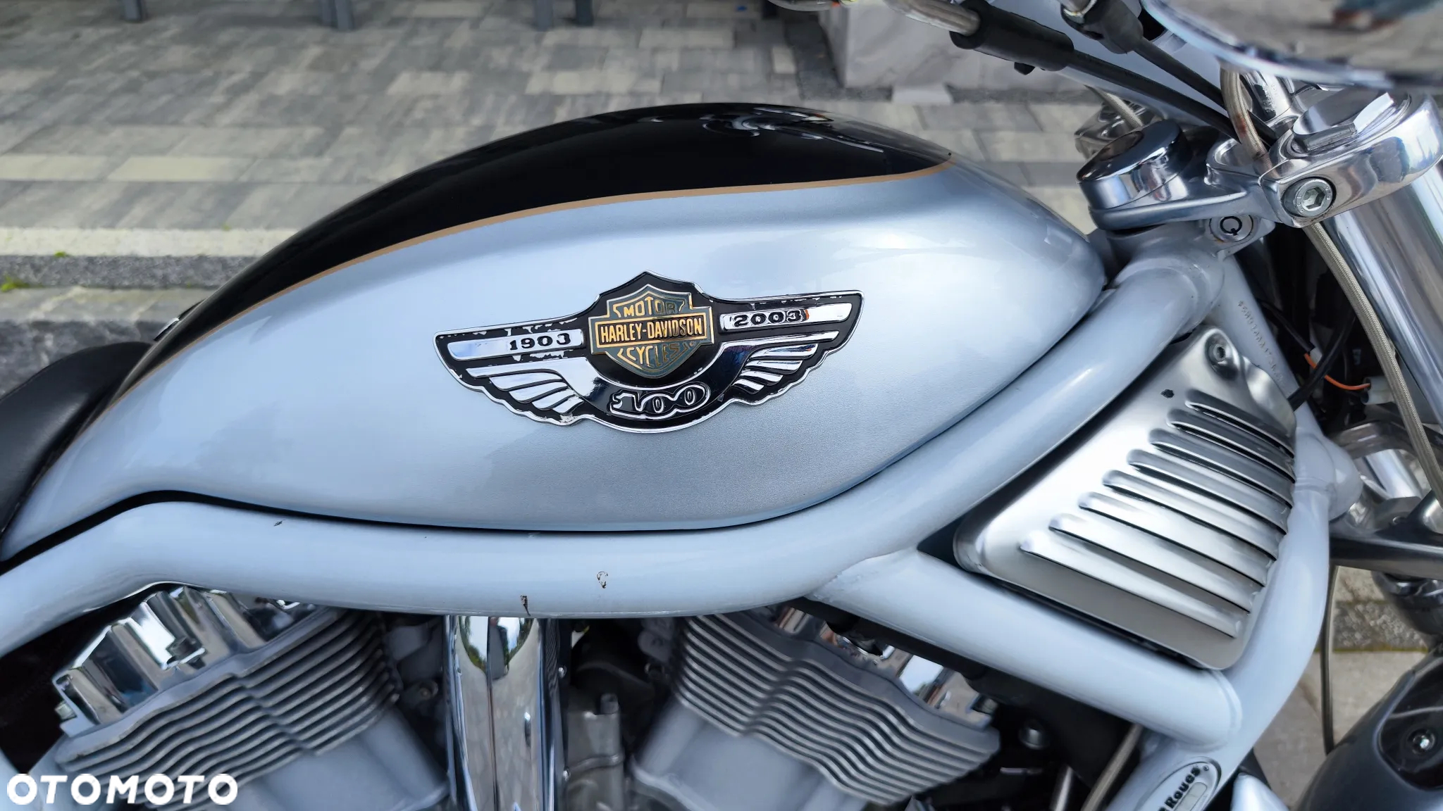 Harley-Davidson Softail V-Rod - 33