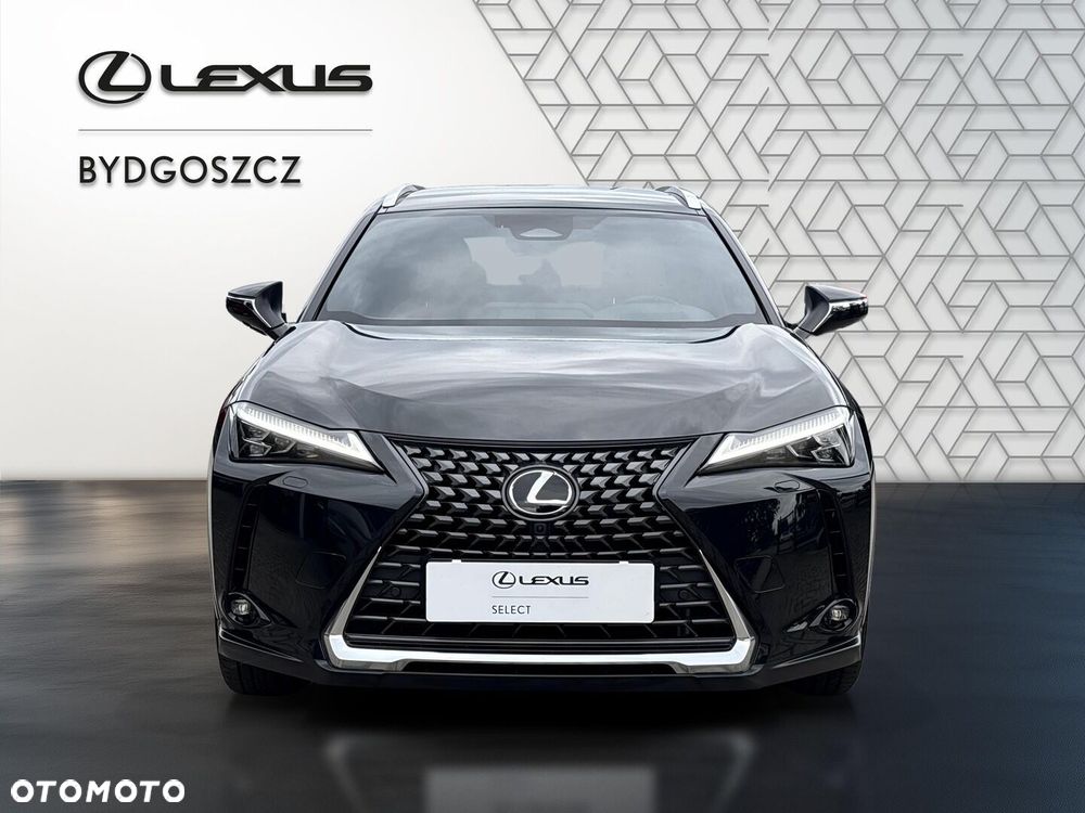 Lexus UX 300h Omotenashi - 2
