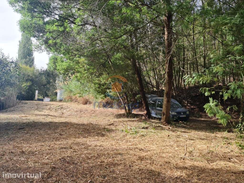 Azenha em Terreno Rústico 4.000m2 | Casais Brancos, Alenquer - Grande imagem: 5/6