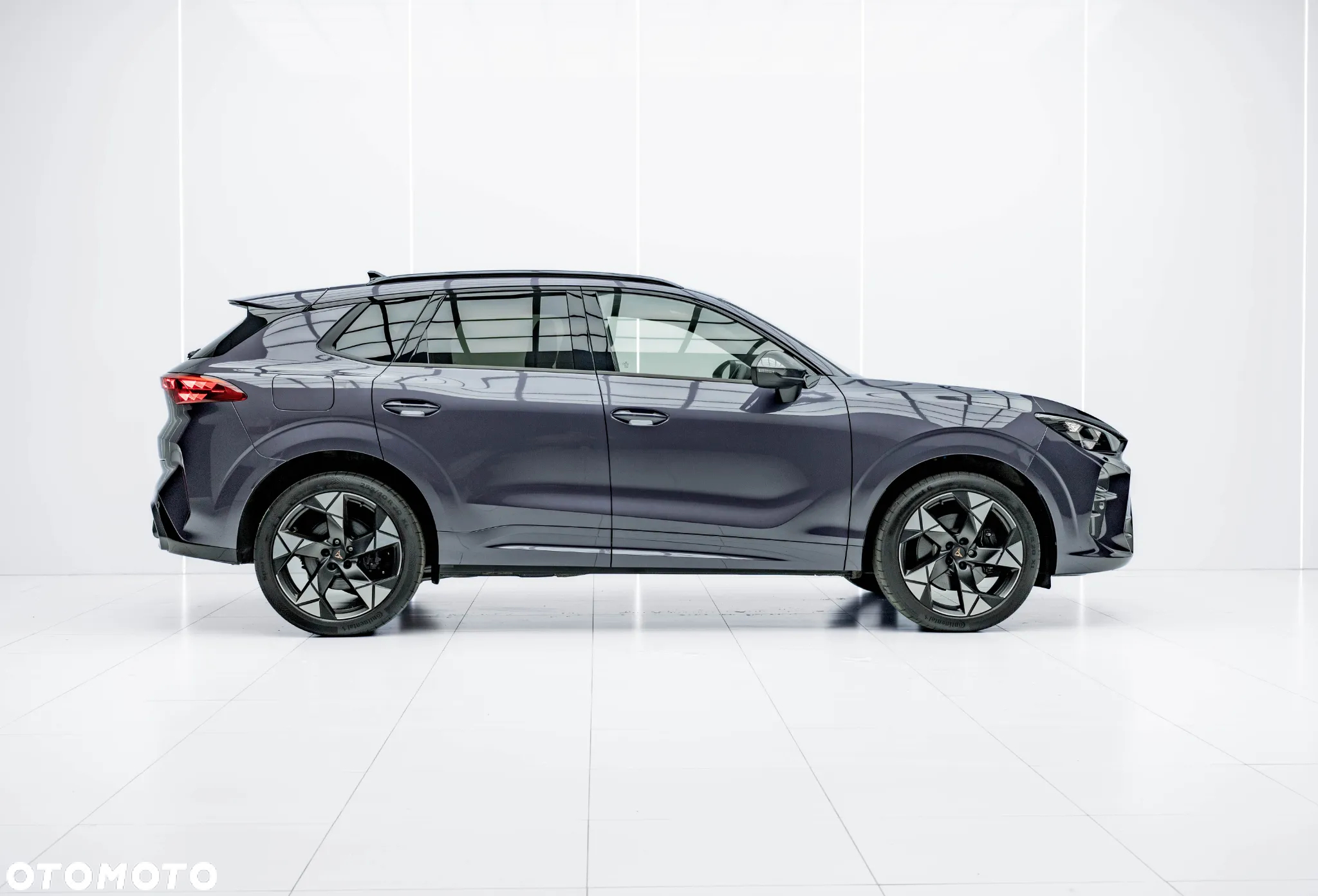 Cupra Terramar 2.0 TSI 4Drive DSG VZ - 5