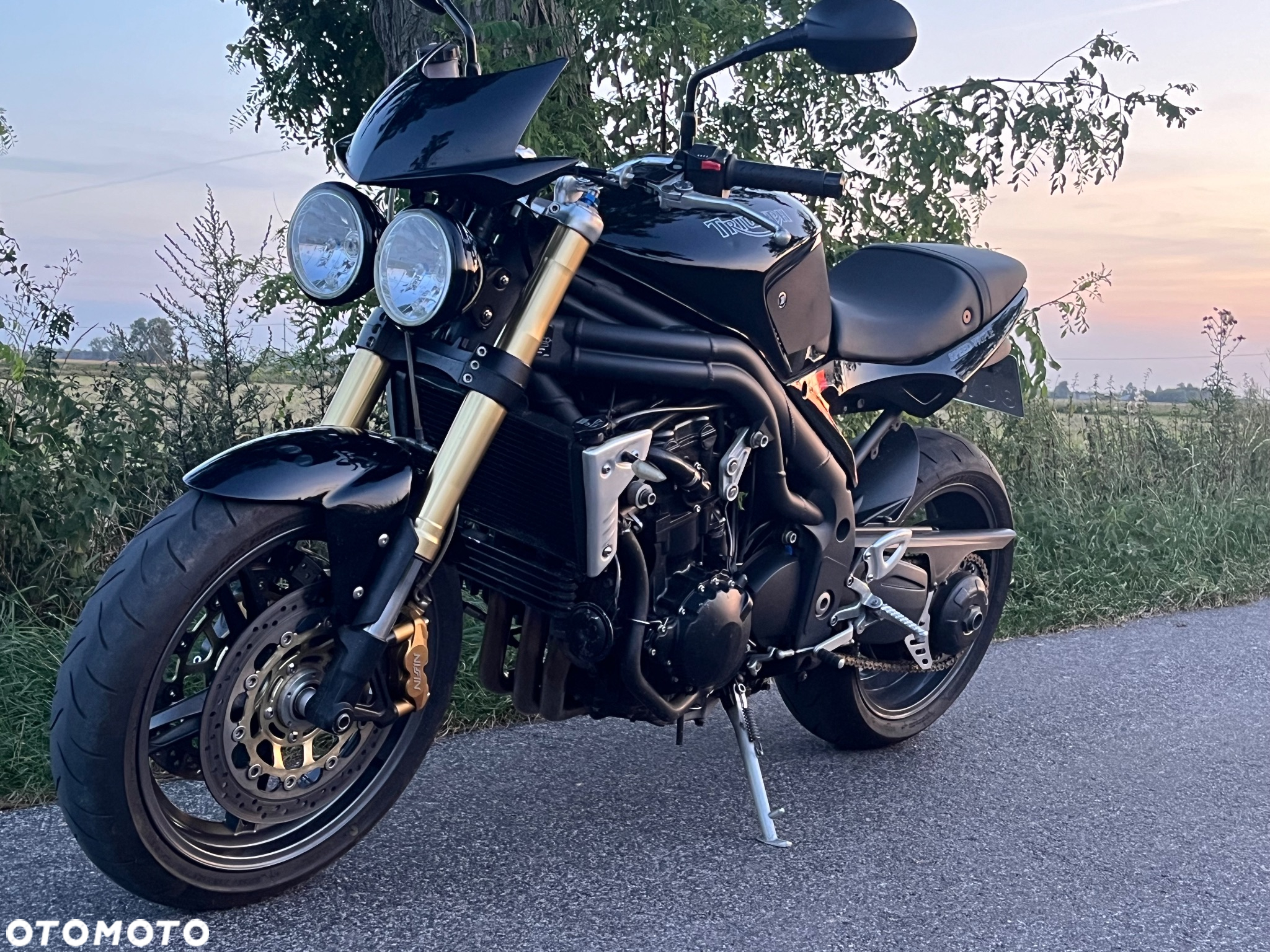 Triumph Speed Triple - 17