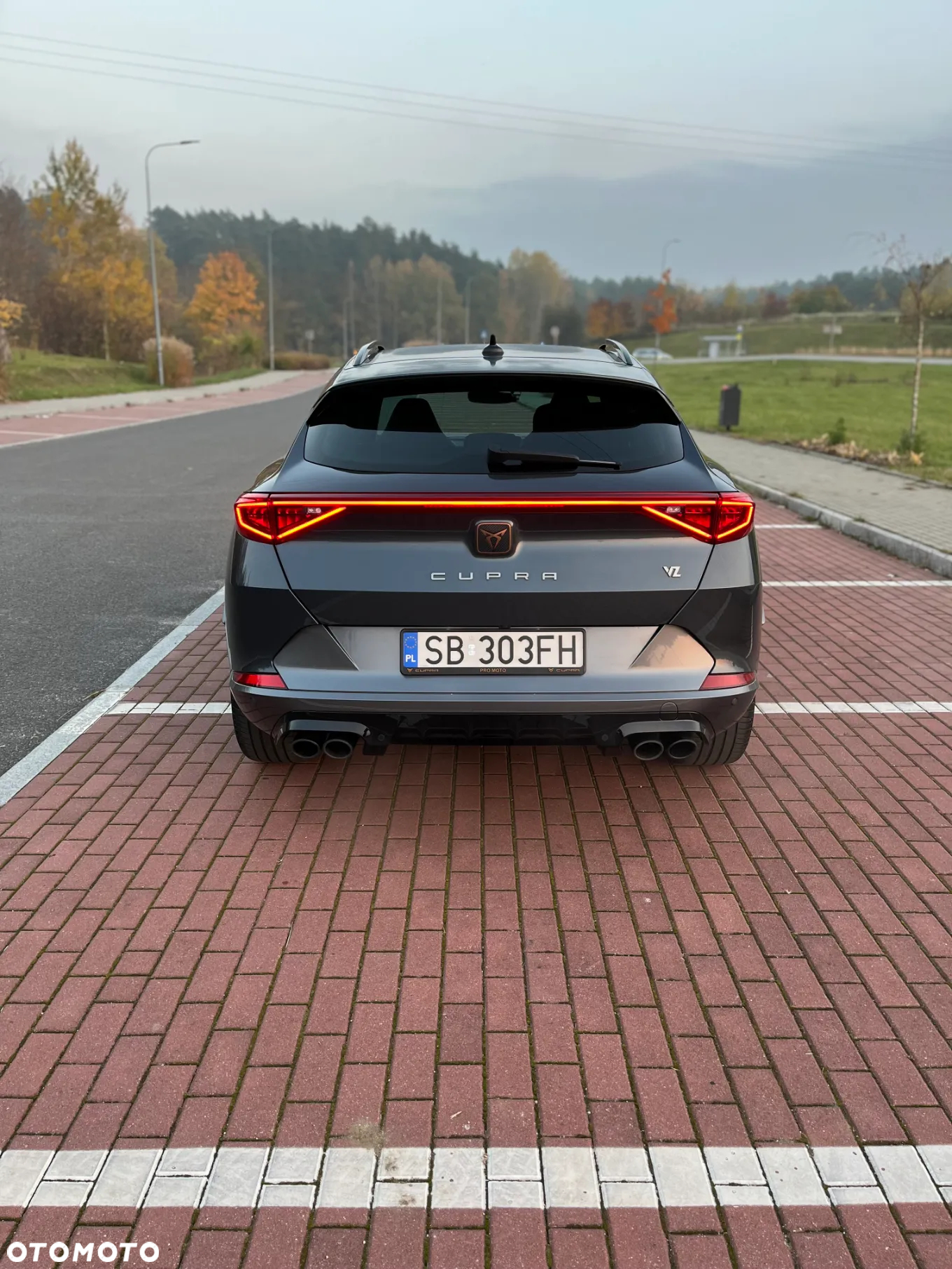 Cupra Formentor 2.0 TSI 4Drive VZ DSG - 9