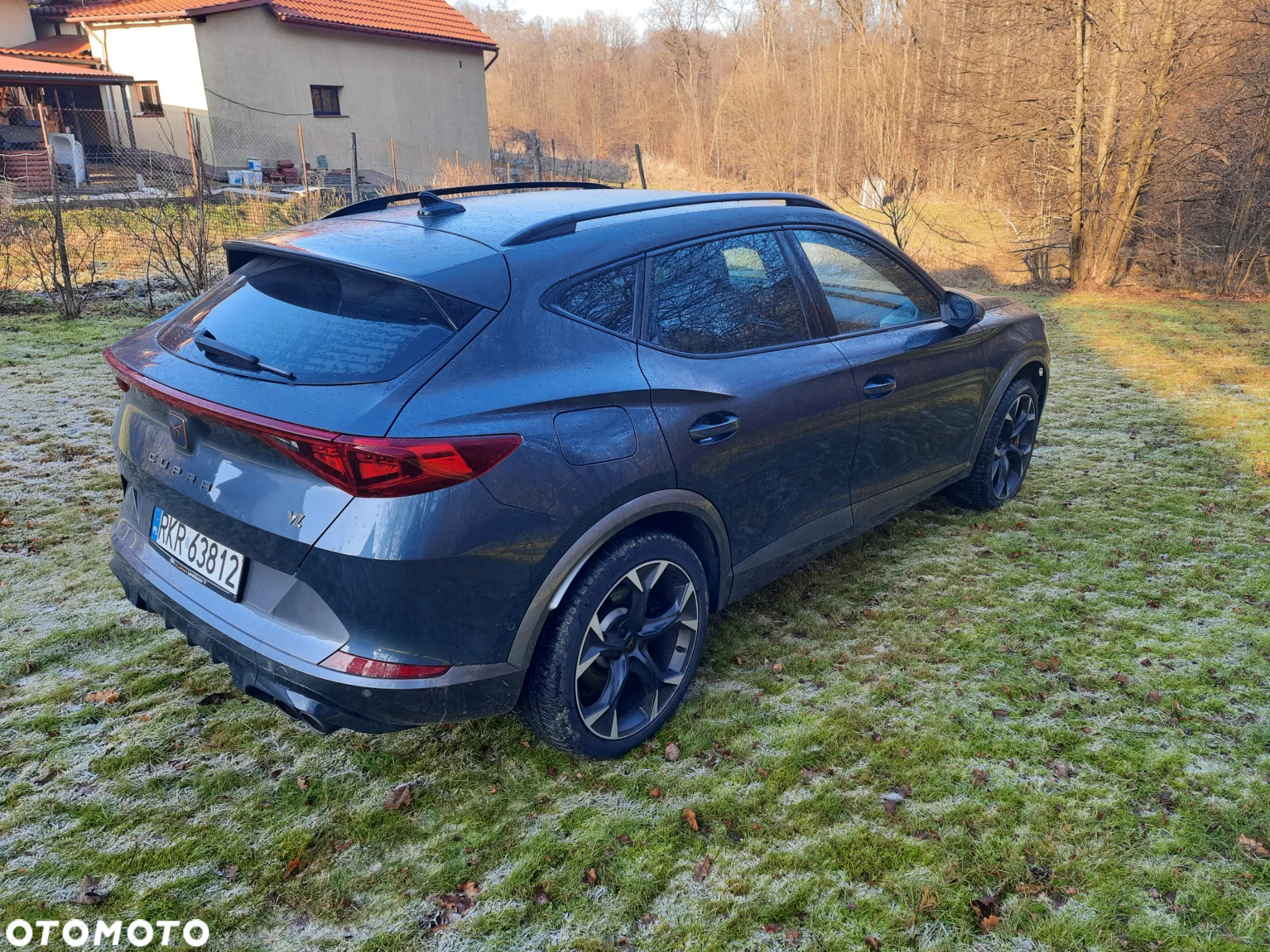 Cupra Formentor VZ 2.0 TSI 4Drive DSG - 8