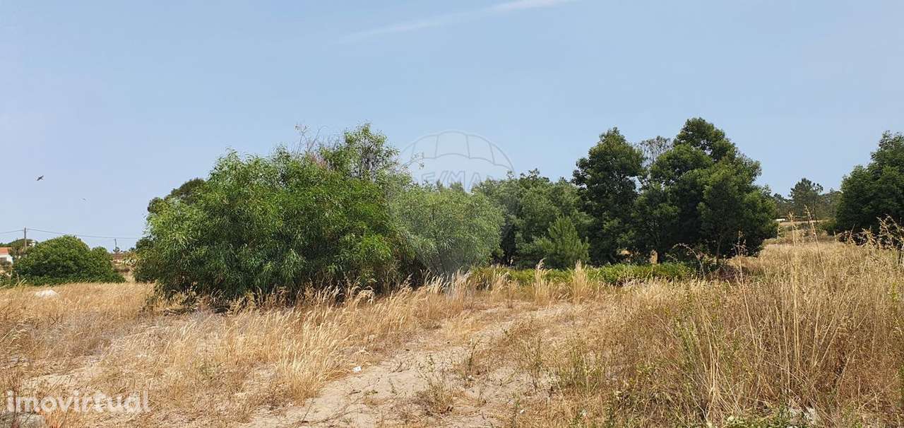 Terreno  para venda - Grande imagem: 3/4