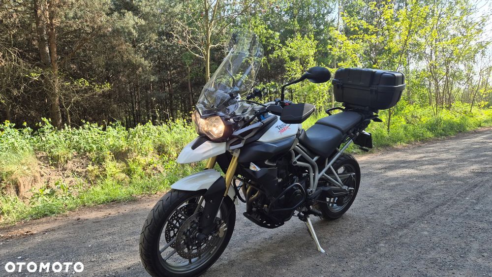 Triumph Tiger - 1