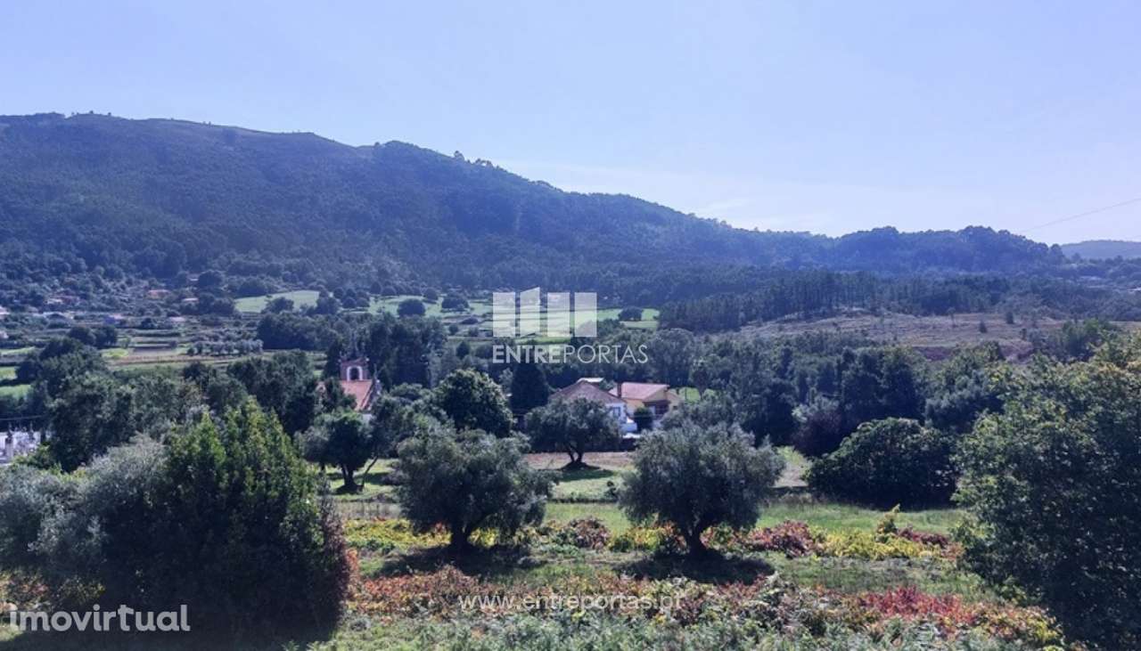 Venda de quinta c/ moradia, Freixieiro de Soutelo, Viana do Castelo - Grande imagem: 3/31