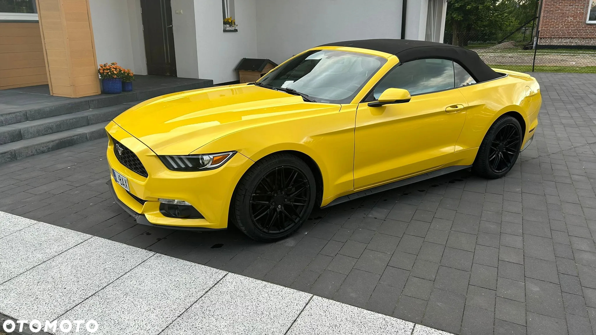 Ford Mustang 2.3 EcoBoost - 8