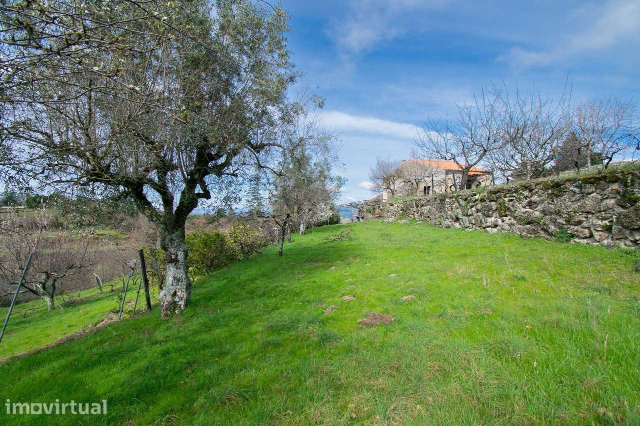 Quinta com construção em Pedra 20.000 m2 de terreno e Licença de Aloja - Grande imagem: 2/60