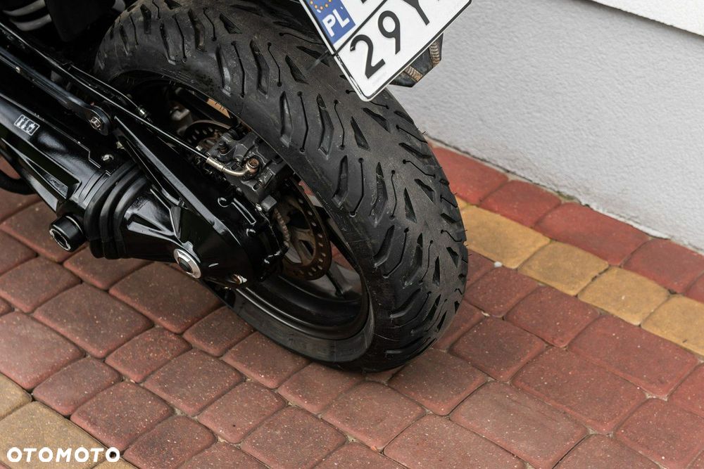 Triumph Tiger - 8