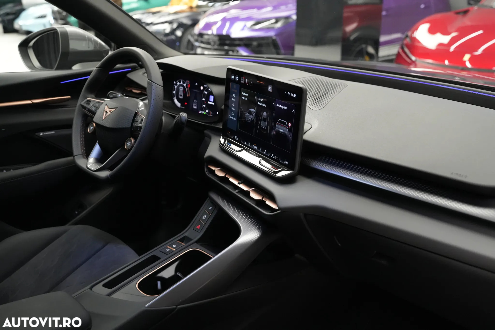 Cupra Terramar - 31