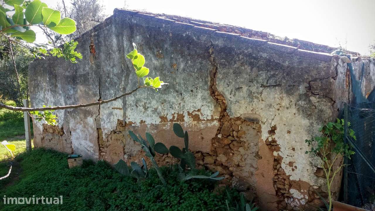 Terreno com Ruína em Moncarapacho - Grande imagem: 4/12