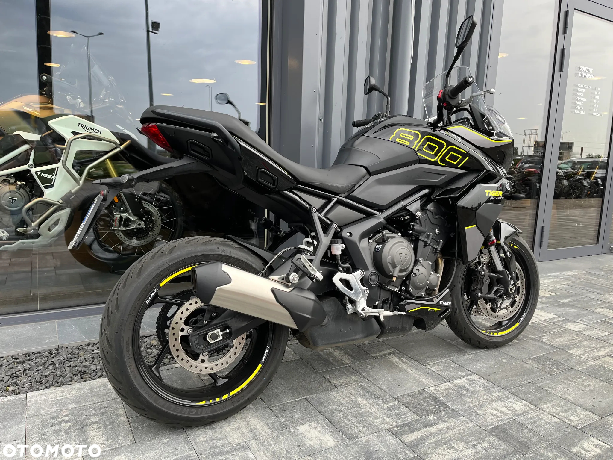 Triumph Tiger - 4