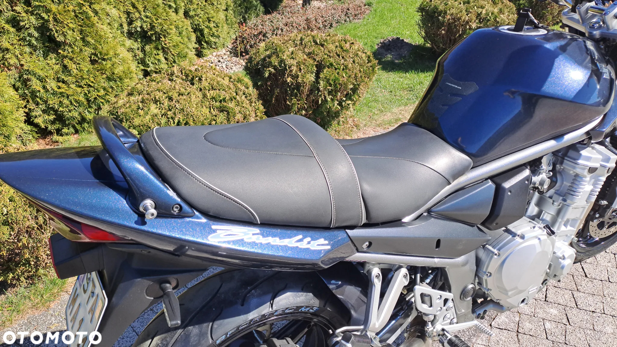 Suzuki Bandit - 7