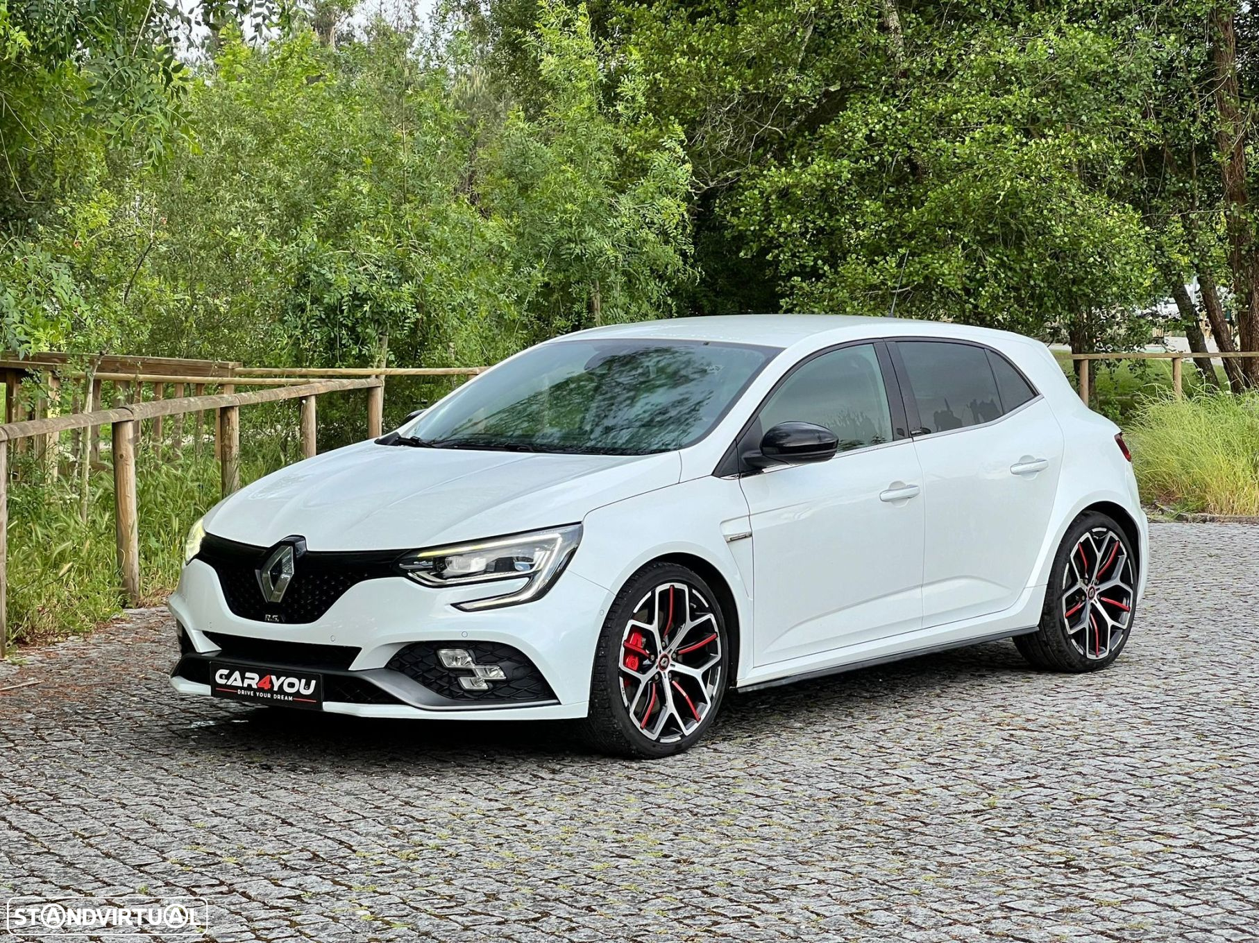 Renault Mégane 1.8 TCe R.S. Trophy EDC - 19