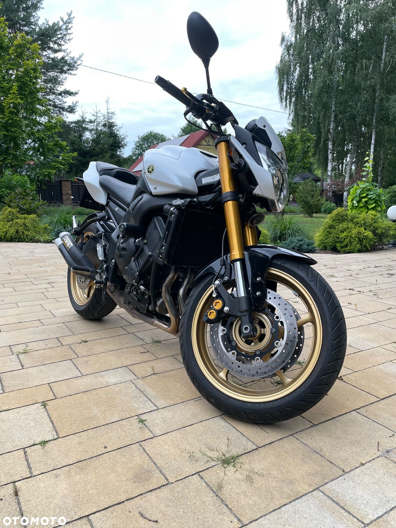 Yamaha FZ8 - 1