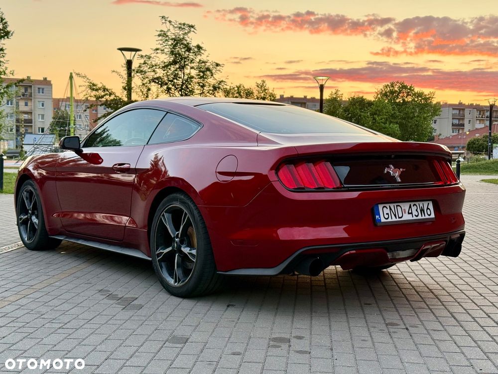 Ford Mustang - 6